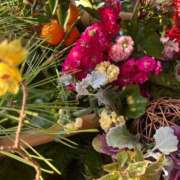 ヒメ日記 2026/01/06 08:26 投稿 獅子王　らん エテルナ彦根