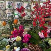 ヒメ日記 2026/01/09 07:49 投稿 獅子王　らん エテルナ彦根