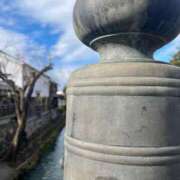 ヒメ日記 2026/01/15 08:11 投稿 獅子王　らん エテルナ彦根