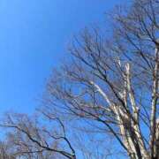 ヒメ日記 2026/02/22 08:16 投稿 獅子王　らん エテルナ彦根