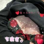 ヒメ日記 2025/02/20 12:23 投稿 ちあき 夜這い茶屋 はなれ