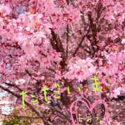 ヒメ日記 2026/05/12 10:41 投稿 ちあき 夜這い茶屋 はなれ
