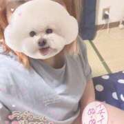 ヒメ日記 2025/07/10 22:21 投稿 くるみ サンキュー沼津店（サンキューグループ）