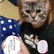 ヒメ日記 2025/07/11 04:41 投稿 くるみ サンキュー沼津店（サンキューグループ）