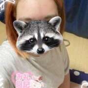 ヒメ日記 2025/07/12 20:31 投稿 くるみ サンキュー沼津店（サンキューグループ）