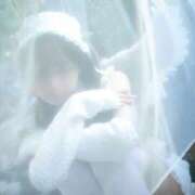 ヒメ日記 2025/09/02 14:07 投稿 ゆあ トリプルA