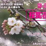 ヒメ日記 2025/03/24 14:30 投稿 石塚佳奈美 五十路マダムエクスプレス船橋店(カサブランカグループ)