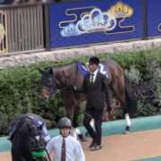 ヒメ日記 2025/04/28 01:48 投稿 石塚佳奈美 五十路マダムエクスプレス船橋店(カサブランカグループ)