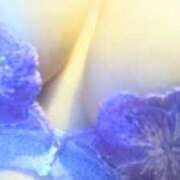 ヒメ日記 2025/02/08 20:30 投稿 せな 人妻の品格(福岡)