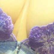 ヒメ日記 2026/02/11 11:15 投稿 せな 人妻の品格(福岡)