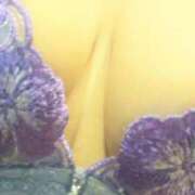 ヒメ日記 2026/02/14 13:15 投稿 せな 人妻の品格(福岡)