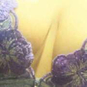 ヒメ日記 2026/02/20 09:15 投稿 せな 人妻の品格(福岡)