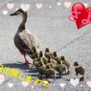 ヒメ日記 2025/06/19 10:12 投稿 さよ 小田原人妻城