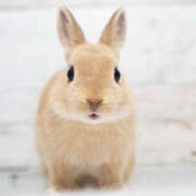 ヒメ日記 2025/04/07 12:04 投稿 ちか ありのままの所沢妻