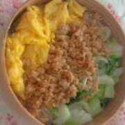 ヒメ日記 2025/11/20 23:46 投稿 上原 昼顔妻 五反田店