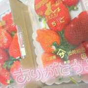 ヒメ日記 2025/02/22 21:20 投稿 あずき わちゃわちゃ密着リアルフルーちゅ西船橋