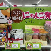 ヒメ日記 2025/02/22 10:37 投稿 森口ゆう TSUBAKI（水戸）