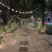 ヒメ日記 2025/03/21 00:34 投稿 森口ゆう TSUBAKI（水戸）