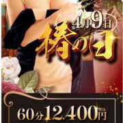 ヒメ日記 2025/04/09 01:15 投稿 森口ゆう TSUBAKI（水戸）