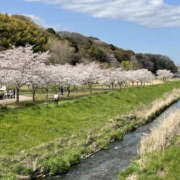 ヒメ日記 2025/04/11 12:03 投稿 森口ゆう TSUBAKI（水戸）