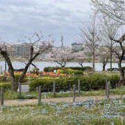 ヒメ日記 2025/04/12 01:33 投稿 森口ゆう TSUBAKI（水戸）