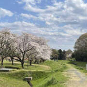 ヒメ日記 2025/04/12 13:41 投稿 森口ゆう TSUBAKI（水戸）
