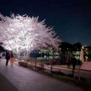 ヒメ日記 2025/04/13 11:58 投稿 森口ゆう TSUBAKI（水戸）