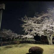 ヒメ日記 2025/04/18 22:47 投稿 森口ゆう TSUBAKI（水戸）