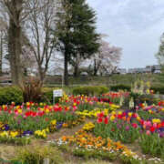 ヒメ日記 2025/04/22 22:59 投稿 森口ゆう TSUBAKI（水戸）