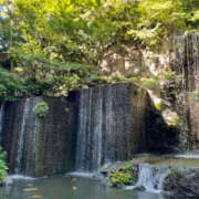 ヒメ日記 2025/06/29 21:48 投稿 森口ゆう TSUBAKI（水戸）