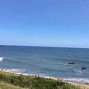 ヒメ日記 2025/07/31 09:07 投稿 森口ゆう TSUBAKI（水戸）