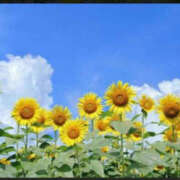 ヒメ日記 2025/10/30 15:01 投稿 森口ゆう TSUBAKI（水戸）