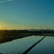 ヒメ日記 2025/11/18 22:58 投稿 森口ゆう TSUBAKI（水戸）