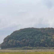 ヒメ日記 2025/11/25 12:11 投稿 森口ゆう TSUBAKI（水戸）