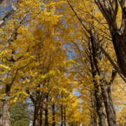 ヒメ日記 2025/11/29 10:58 投稿 森口ゆう TSUBAKI（水戸）