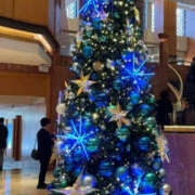 森口ゆう 素敵なツリー TSUBAKI（水戸）