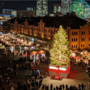 ヒメ日記 2025/12/11 21:35 投稿 森口ゆう TSUBAKI（水戸）