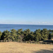 ヒメ日記 2026/01/25 00:16 投稿 森口ゆう TSUBAKI（水戸）