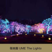 ヒメ日記 2026/02/24 19:33 投稿 森口ゆう TSUBAKI（水戸）