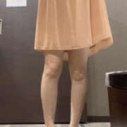 ヒメ日記 2026/03/28 09:02 投稿 森口ゆう TSUBAKI（水戸）