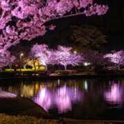 ヒメ日記 2026/04/09 18:03 投稿 森口ゆう TSUBAKI（水戸）