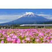 ヒメ日記 2024/07/19 12:00 投稿 芹沢まろん まつど回春エステ