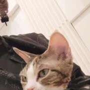 ヒメ日記 2025/05/28 00:12 投稿 すず 京都祇園・南インターちゃんこ