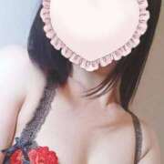 ヒメ日記 2026/02/14 16:58 投稿 樹希(いつき) デザインヴィオラ東京