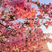 もあ よ 尼妻（あまづま）