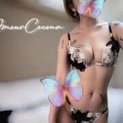 ヒメ日記 2024/12/09 23:48 投稿 ココナ AMOUR（アムール）