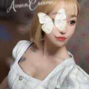 ヒメ日記 2025/01/09 23:18 投稿 ココナ AMOUR（アムール）