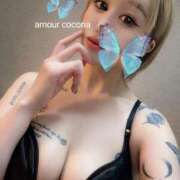 ヒメ日記 2025/03/22 22:29 投稿 ココナ AMOUR（アムール）