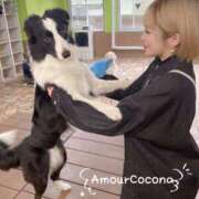 ヒメ日記 2025/06/04 19:25 投稿 ココナ AMOUR（アムール）