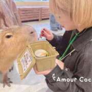 ヒメ日記 2025/06/24 07:01 投稿 ココナ AMOUR（アムール）